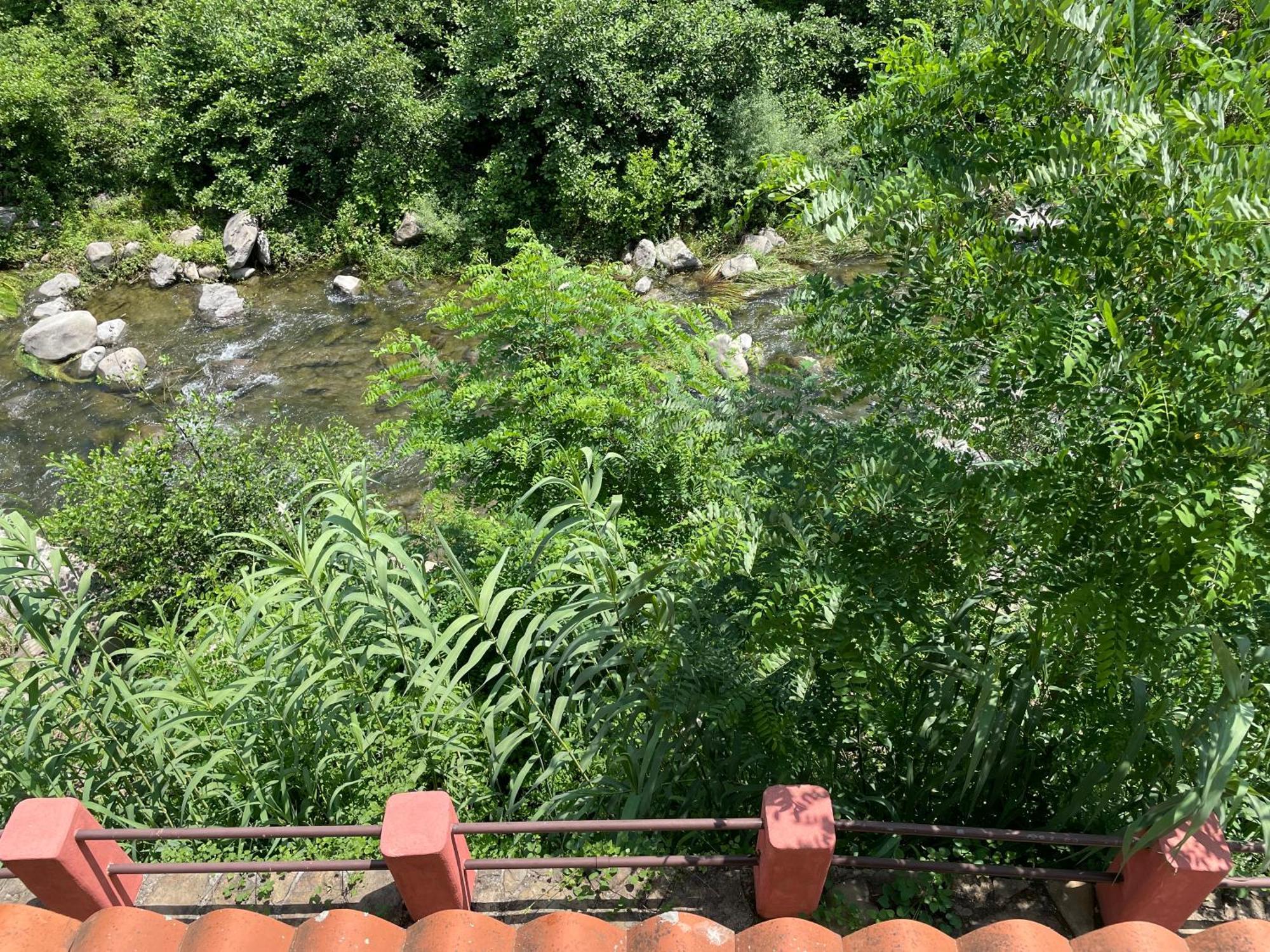 Agriturismo Del Gao Isolabona Buitenkant foto